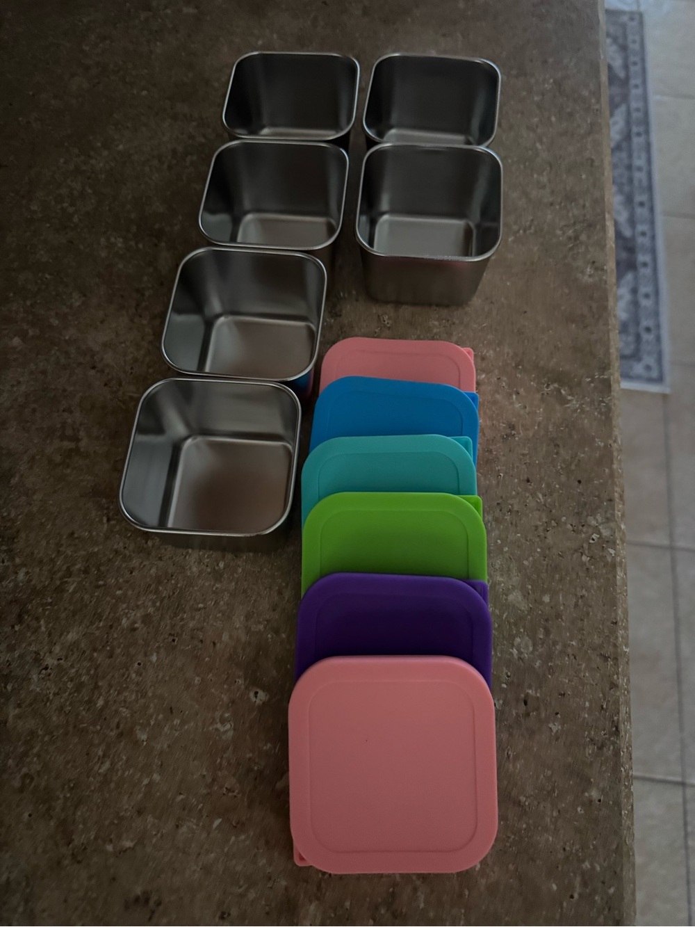 Stainless Steel 6 ounce snack Containers with Assorted Silicone Lids set of 6